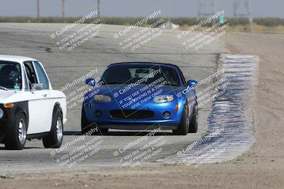 media/Oct-21-2023-Speed Ventures (Sat) [[ddf75163c5]]/Yellow/Grapevine/